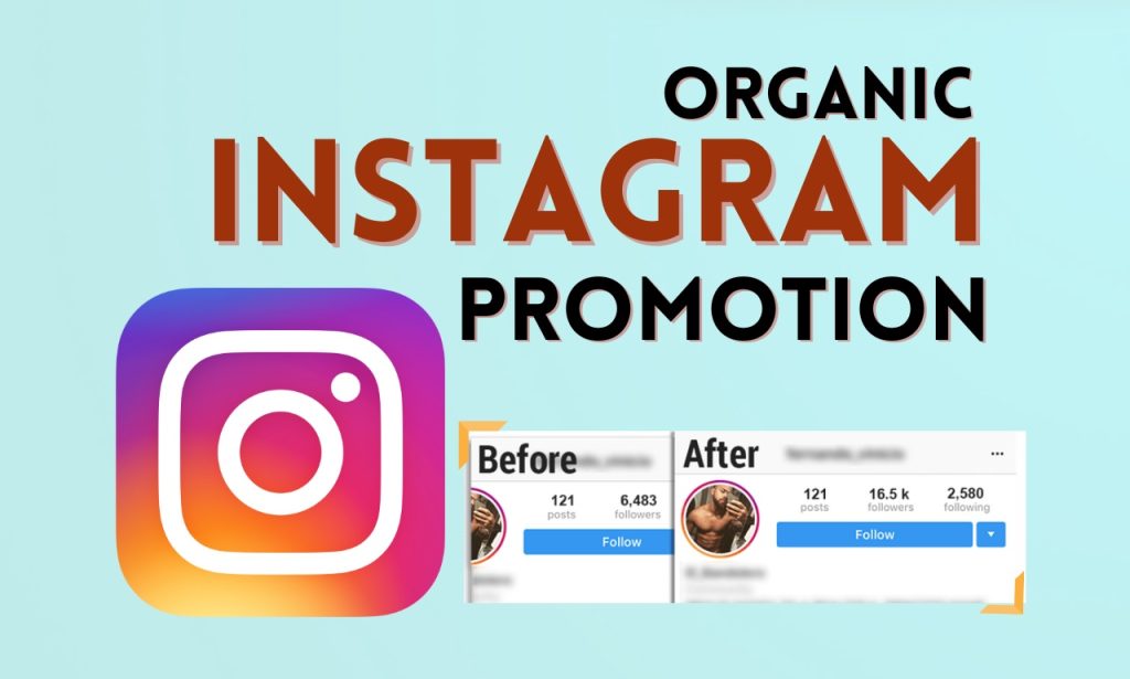organic Instagram follower packages