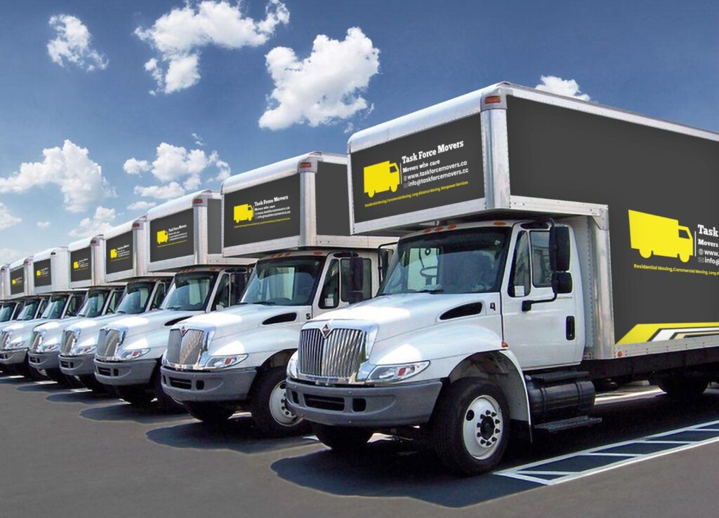 likereliable removalist company